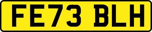FE73BLH