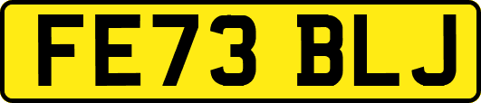 FE73BLJ