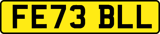 FE73BLL