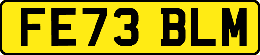 FE73BLM