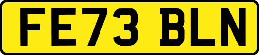 FE73BLN
