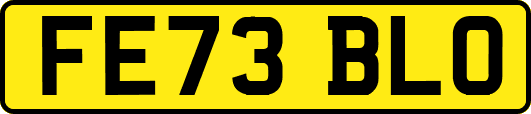 FE73BLO