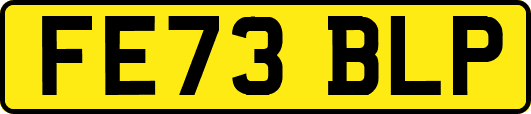 FE73BLP