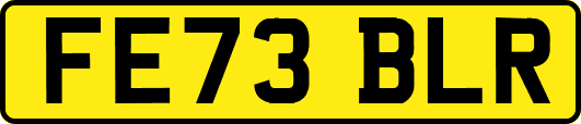 FE73BLR