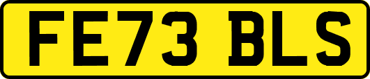 FE73BLS