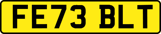 FE73BLT