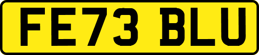 FE73BLU