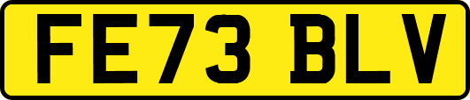 FE73BLV