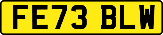 FE73BLW