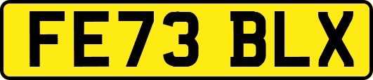 FE73BLX
