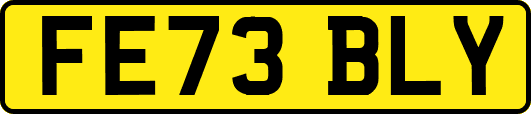 FE73BLY