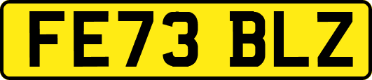 FE73BLZ