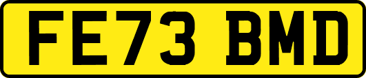 FE73BMD