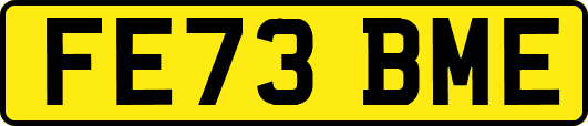 FE73BME