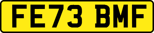 FE73BMF