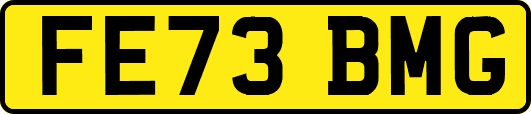 FE73BMG