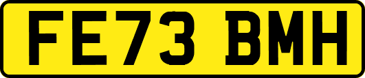 FE73BMH