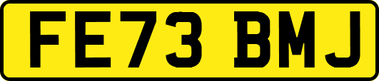 FE73BMJ