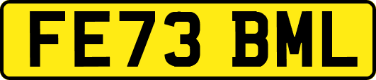 FE73BML