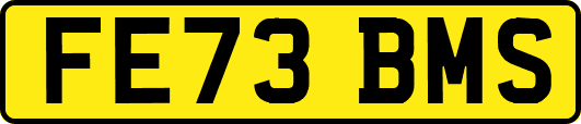 FE73BMS