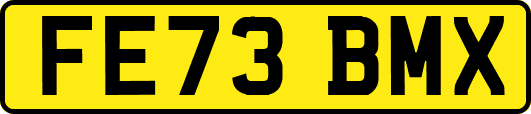 FE73BMX