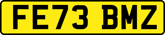 FE73BMZ