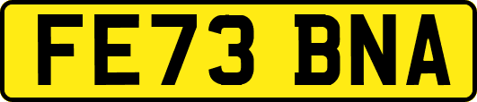 FE73BNA