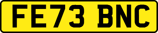 FE73BNC