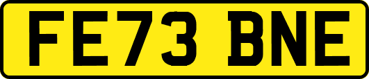 FE73BNE
