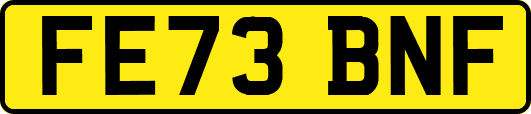 FE73BNF