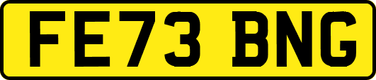 FE73BNG