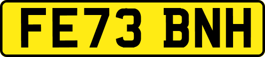FE73BNH