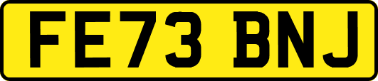 FE73BNJ