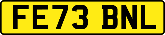 FE73BNL