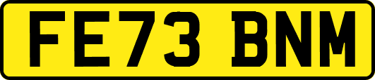 FE73BNM