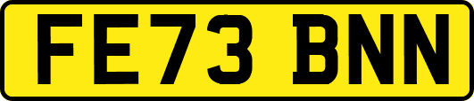 FE73BNN