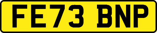 FE73BNP