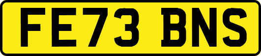 FE73BNS