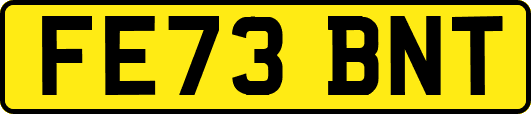 FE73BNT