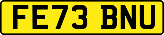 FE73BNU