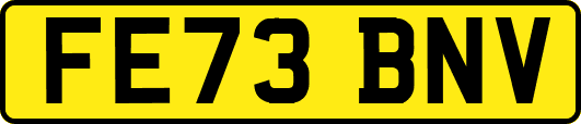 FE73BNV