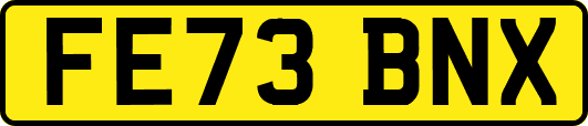 FE73BNX