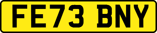 FE73BNY