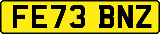 FE73BNZ