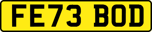 FE73BOD