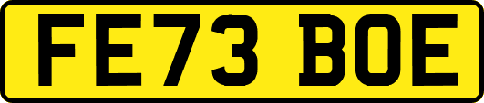 FE73BOE