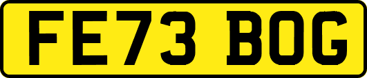 FE73BOG