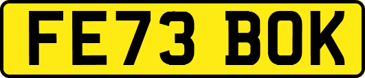 FE73BOK