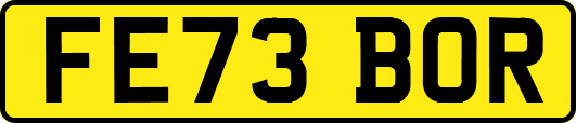FE73BOR