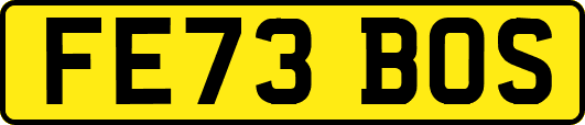 FE73BOS